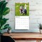 Blue Heelers | 2026 12 x 24 Inch (Hanging) Monthly Square Wall Calendar | Plastic-Free